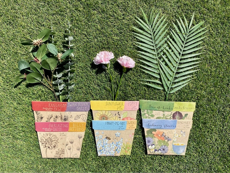 A Spring Fling with Sow n Sow: Outdoor Activities for Little Gardeners
