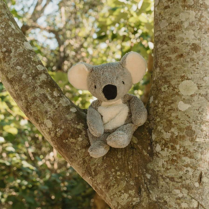 Limited Edition SENGER koala toy sitting on a tree branch outdoors, with blurred green foliage in the background - for Oskar's Wooden Ark in Australia