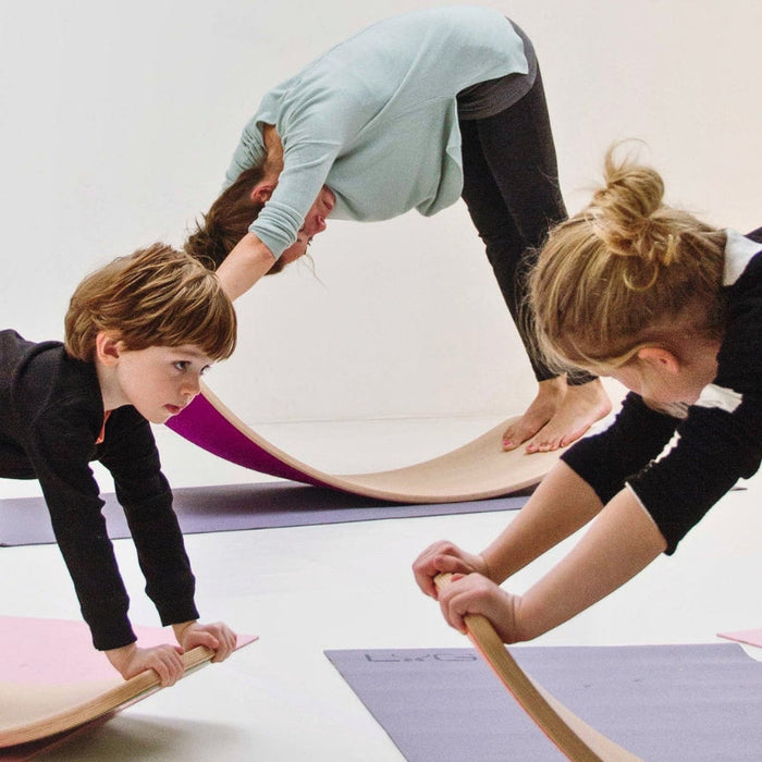 DISCOVER: Which Wobbel Board should I choose?