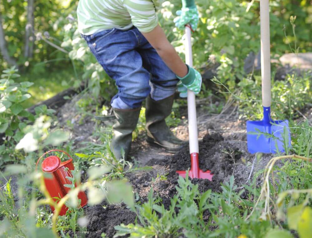 Boy digging in garden with Children's sized sturdy metal and wooden handled Garden tools and watering can from Oskar's Wooden Ark in Australia