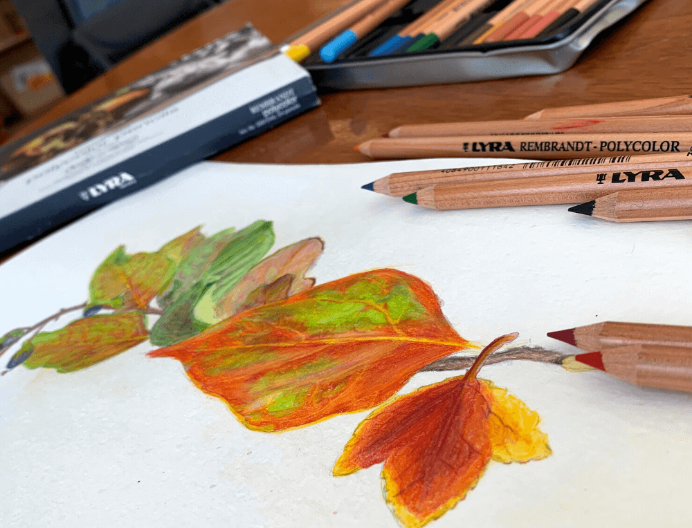 Fine Arts Paper, Pencils, Pastels and Paint from Oskar's Wooden Ark in Australia