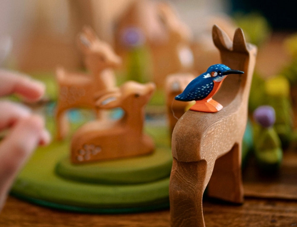Animals & Birds Collection - Online, Australia