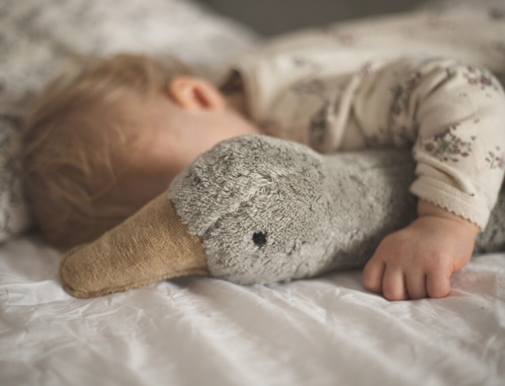 SENGER Cuddly Animals from Oskar's Wooden Ark in Australia