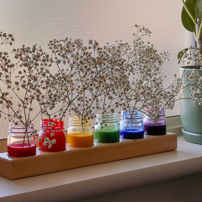 Glass Jars with Wooden Paint Holder (50ml Jars)