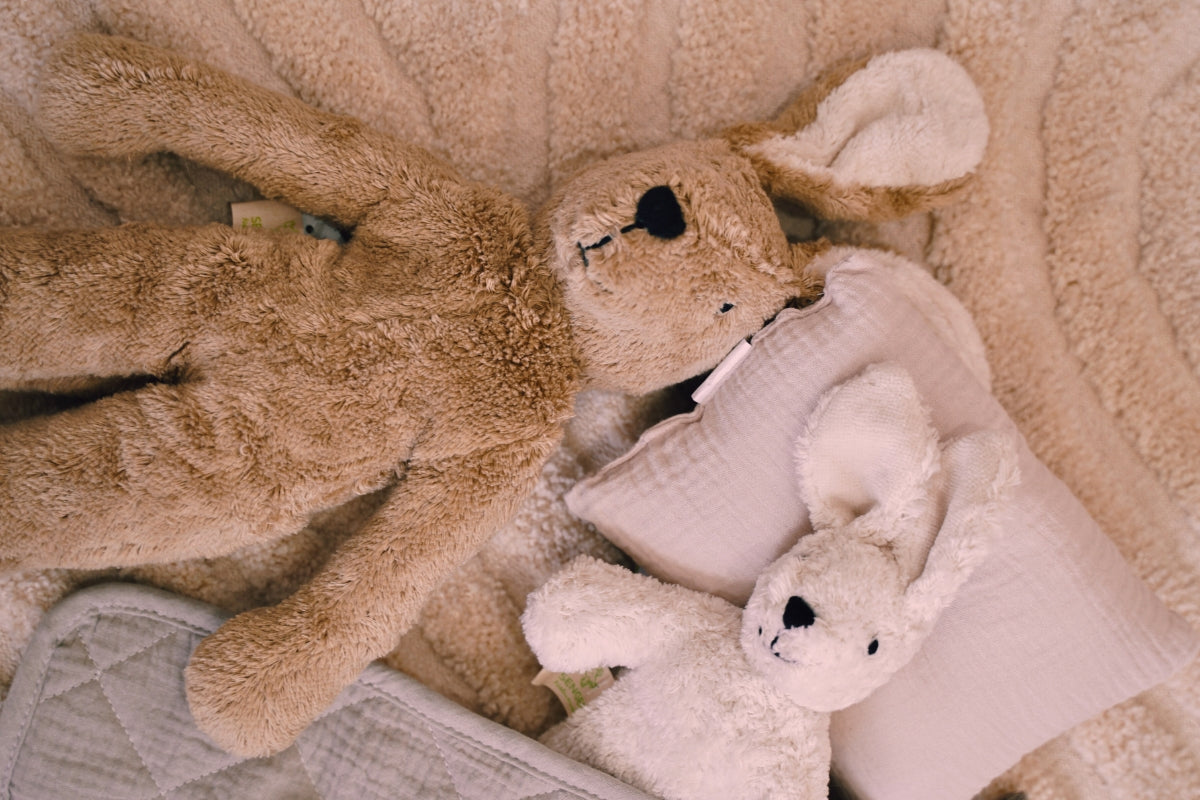 Animal Soft Toys Collection - Online, Australia