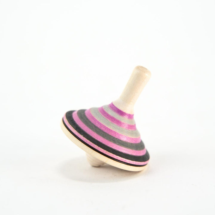 CT310 Mader Grey Prince Spinning Top