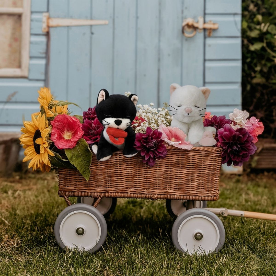 Olli Ella Binky Kittens - Online, Australia