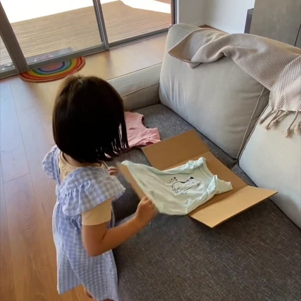 DIY T-Shirt Folder