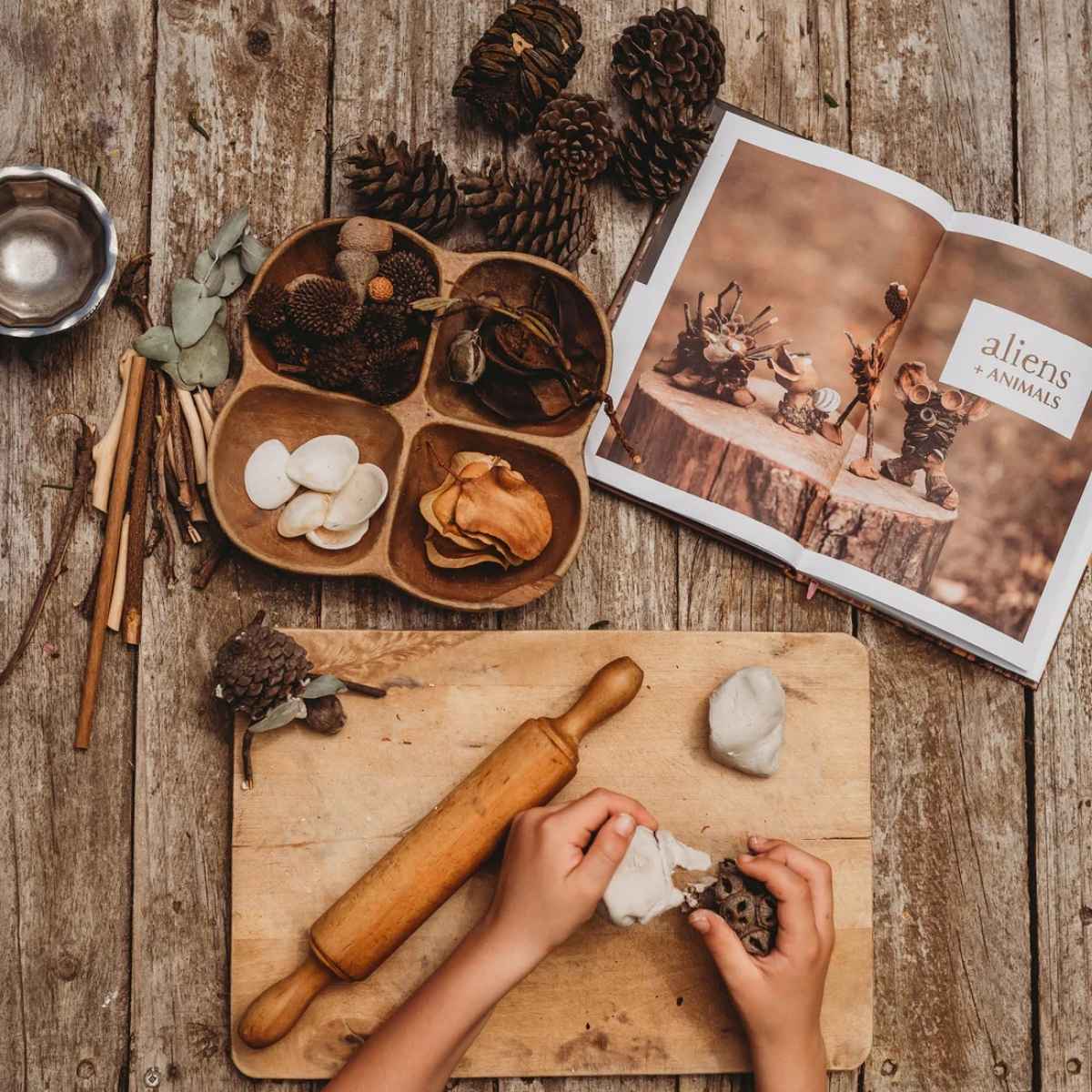 Go Deeper Into the Wild: Your Wild Books