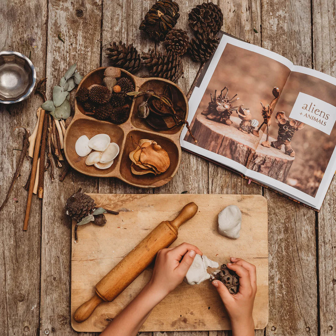 Your Wild Books nature activity guides for curious kids — outdoor play and discovery