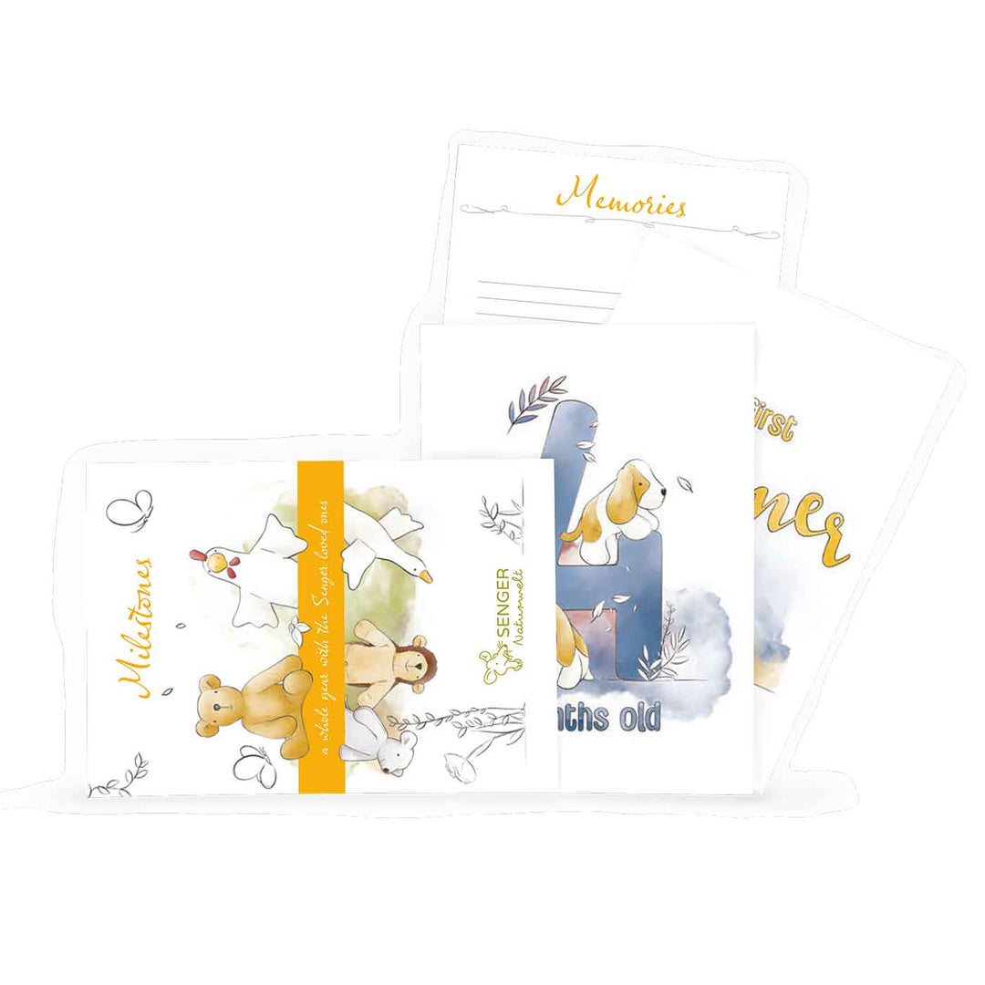 SENGER Milestone Cards pack of 16