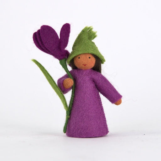    amb-crocus-BS Ambrosius Flower Fairy Crocus (2023)