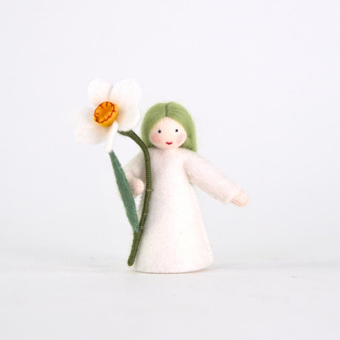    amb-daffodil-FS Ambrosius Flower Fairy White Daffodil (2023)
