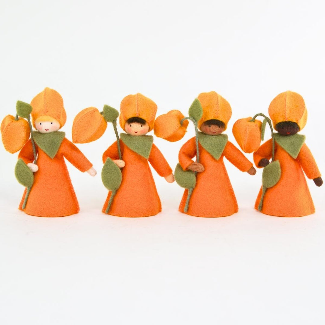 Ambrosius Flower Fairy Physalis Boy - Large (2023)