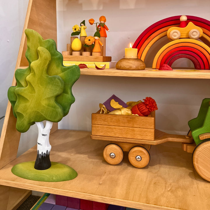 Wooden toys displayed on a shelf, arranged for an autumn-themed playroom decor in Australia