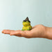BumbuToys Wooden Celebration Ring Decoration - Spell Frog - Online, Australia