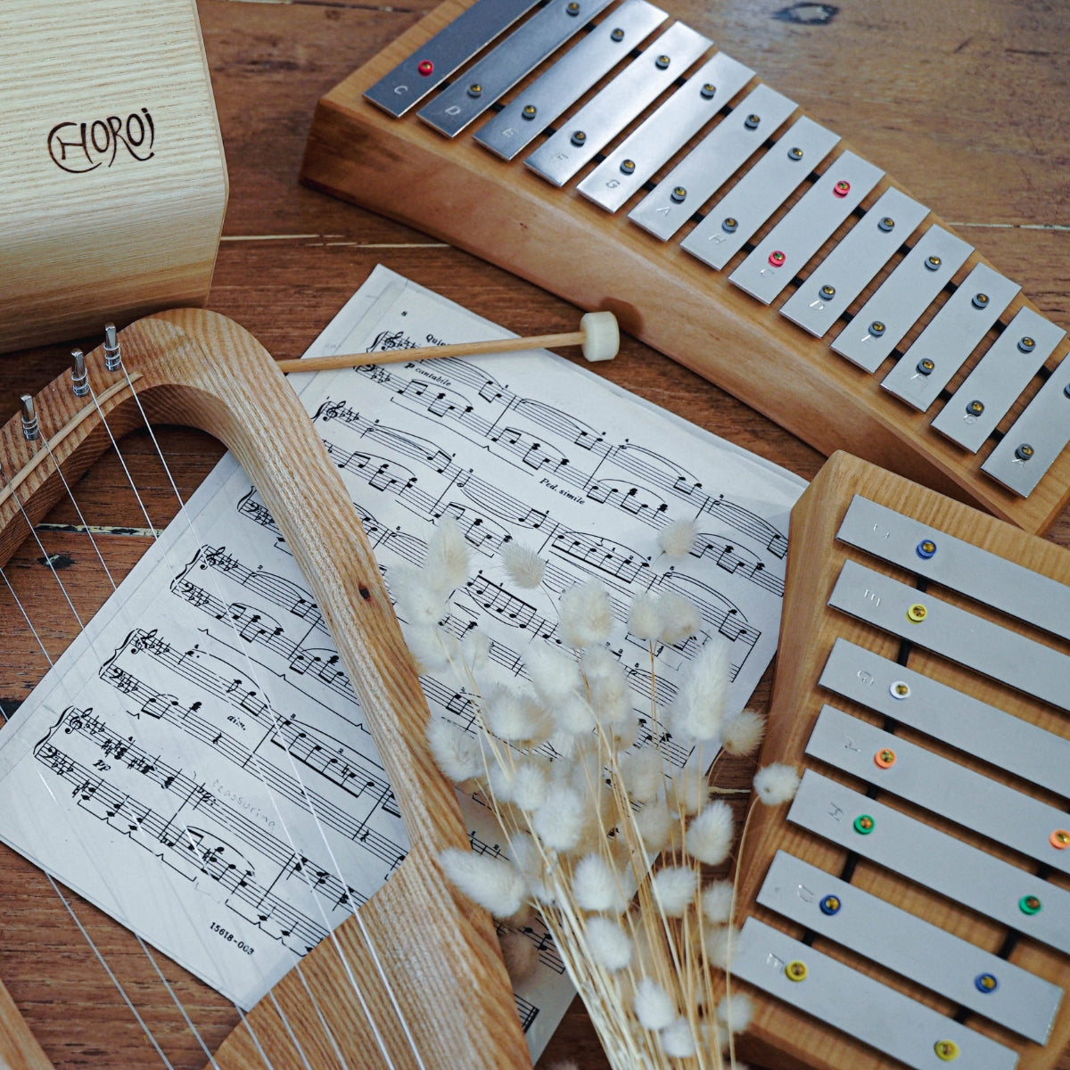 Choroi Musical Instruments Brand Collection - Online, Australia