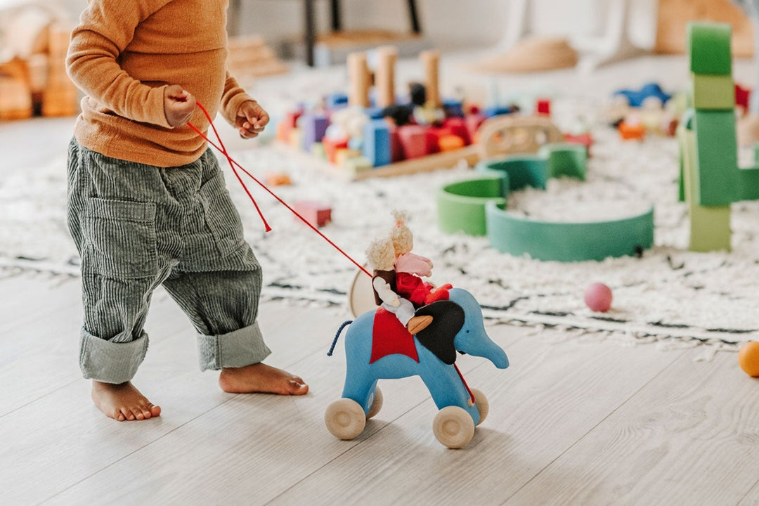 Grimm's Roll, Push & Pull Along Collection - Online, Australia