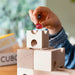 CUBORO MARBLES - Set of 15 - For Marble Runs, Different Colours, Glass - Online, Australia