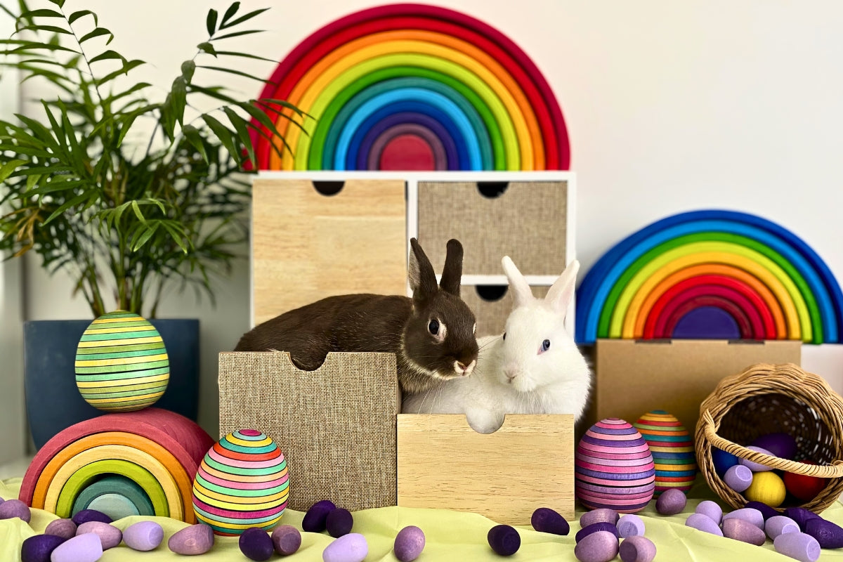 Easter Shop Collection - Online, Australia