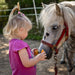 Erzi Wooden Pretend Play Toy Horse Care Set from Australia