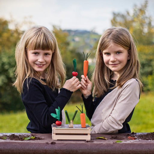 Erzi Wooden Educational Toy Vegetable Garden Patch from Australia