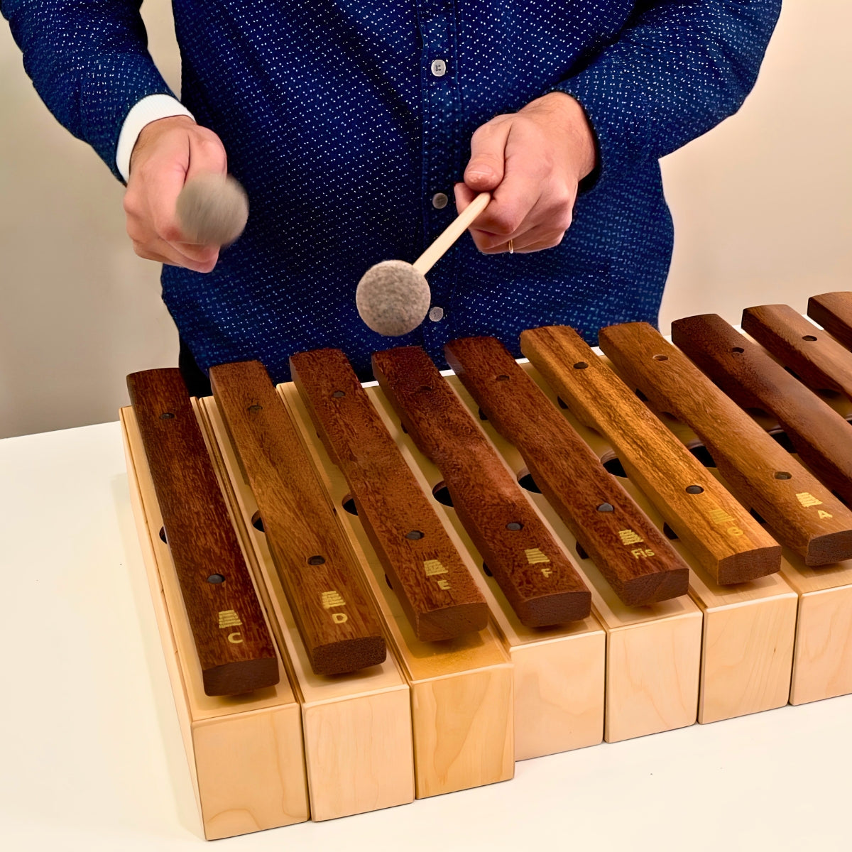 Goldon Musical Instruments Brand Collection - Online, Australia
