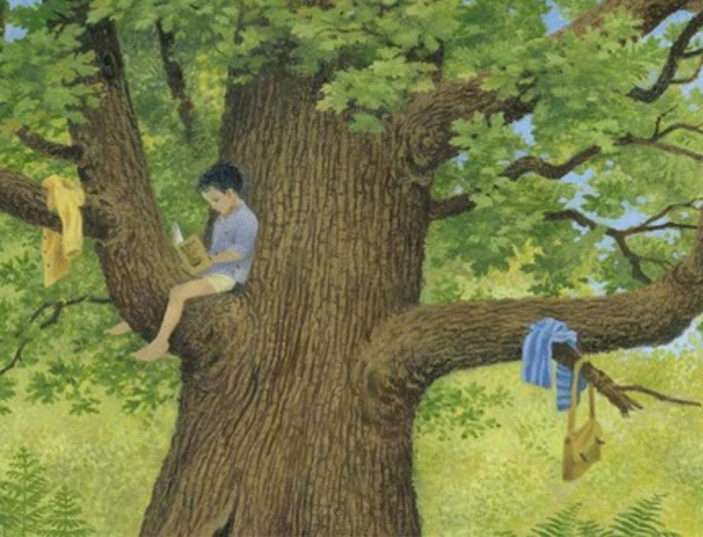 Greda Muller - A Year Around the Great Oak, Australia
