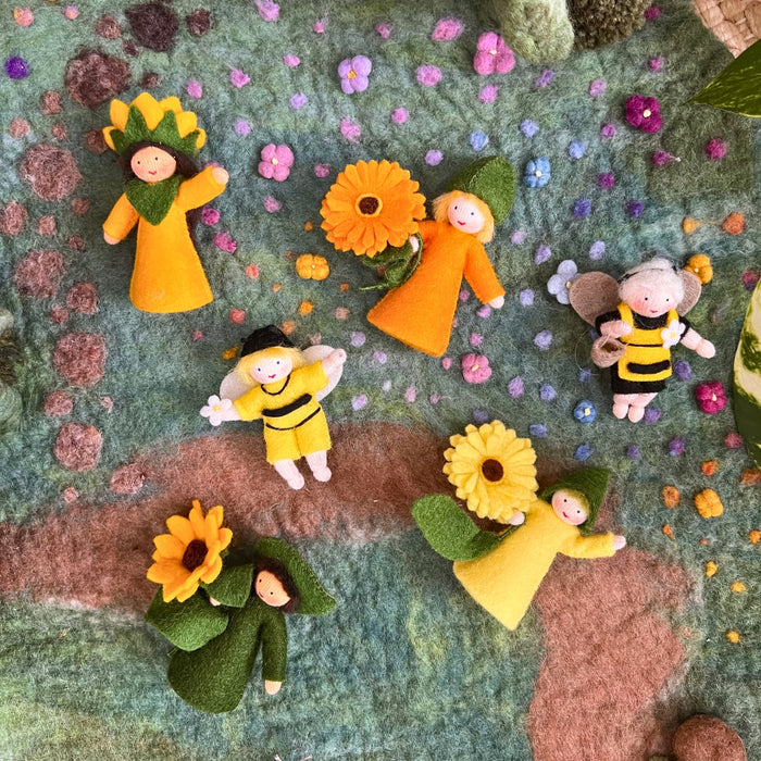 Ambrosius Flower Fairies from Australia