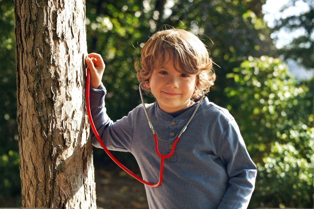 Kraul Experimental Kits Collection - Online, Australia