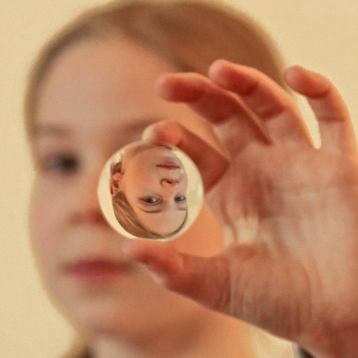 Kraul DIY Cardboard Obscura Pinhole Camera from Australia