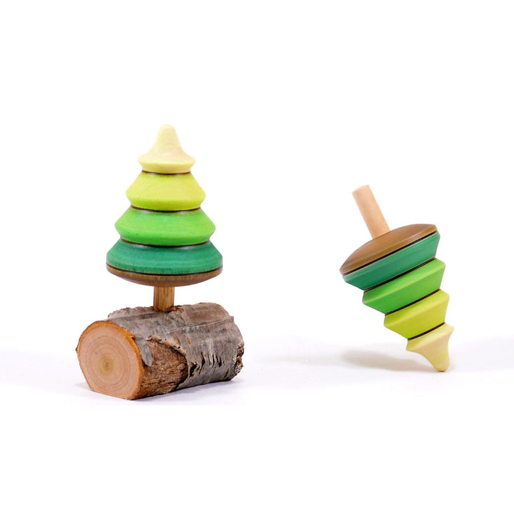 Mader Tree Spinning Top on Branch, Australia