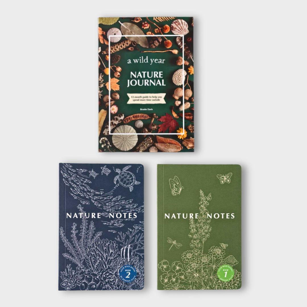 Three nature-themed journals on a light gray background