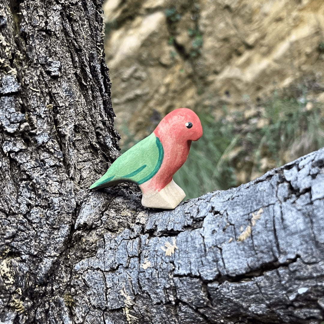 Nom Handcrafted Wooden Toys, Australian Animal Figures for Small World Play in an Outdoor Setting, Available Online