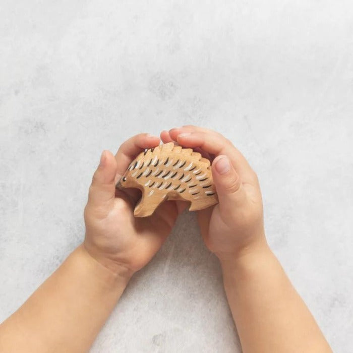 NH_AAP_20004 NOM Handcrafted - Echidna