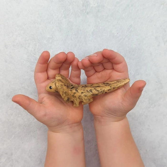 NH_AAP_20019 NOM Handcrafted - Frill Neck Lizard