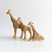 NH_AFP_120001 NOM Handcrafted - Giraffe