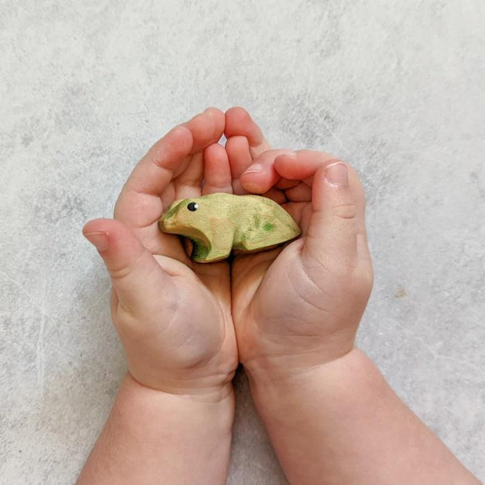 NH_AAP_20005 NOM Handcrafted - Green Tree Frog