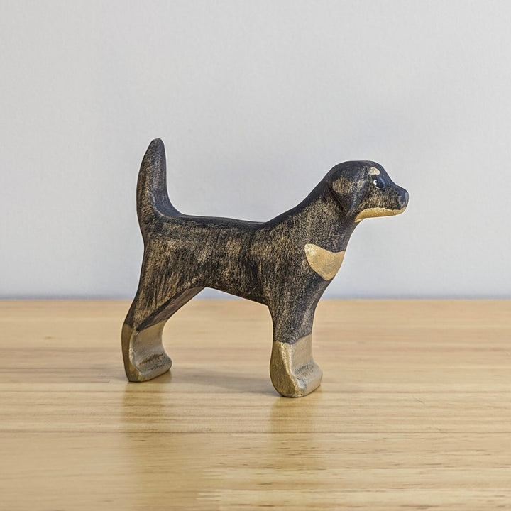 NH_DOP_40012 NOM Handcrafted - Rottweiler