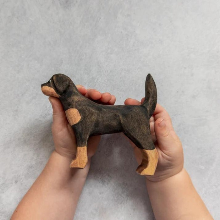 NH_DOP_40012 NOM Handcrafted - Rottweiler
