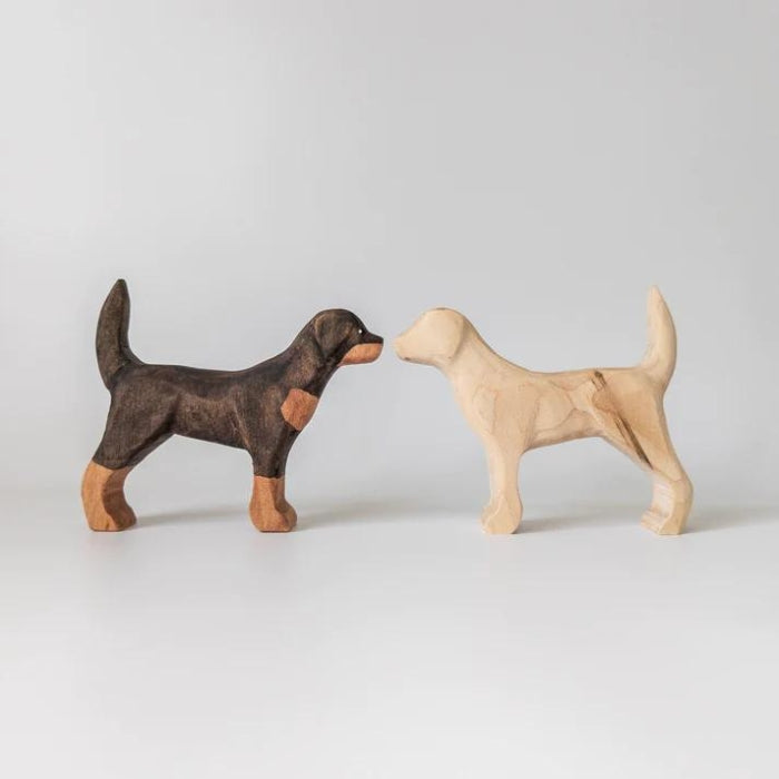 NH_DOP_40012 NOM Handcrafted - Rottweiler