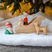 NOM Handcrafted - Santa's Sleigh Christmas Wooden Toy for Open Ended Play - Online - Australia