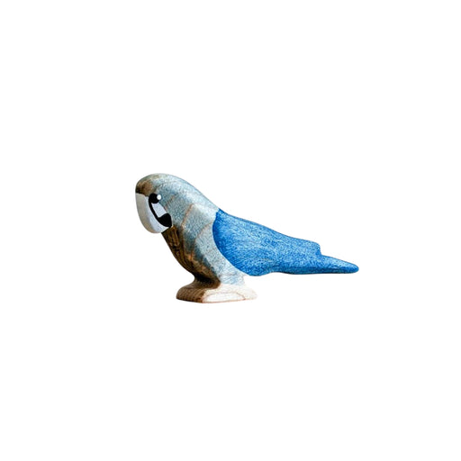 NH_BIP_10035 Spix Macaw