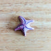 NH_OCP_80018 NOM Handcrafted - Starfish