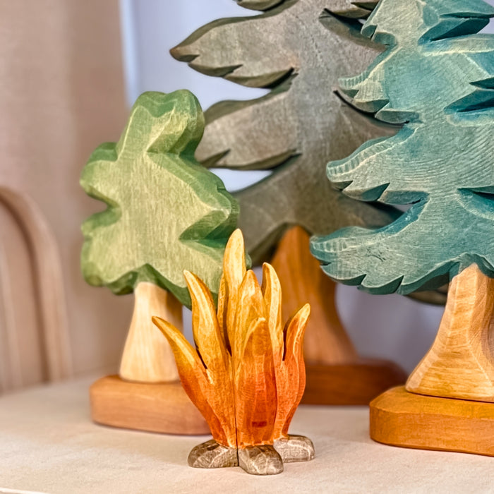 P009 Predan Camp Fire