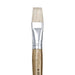 Paint Brush Natural Boar Bristle - Flat from Australia