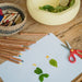 10315234 Painting/Drawing Paper 80g/m²-25x32,5 cm-Round corners - Mercurius Australia