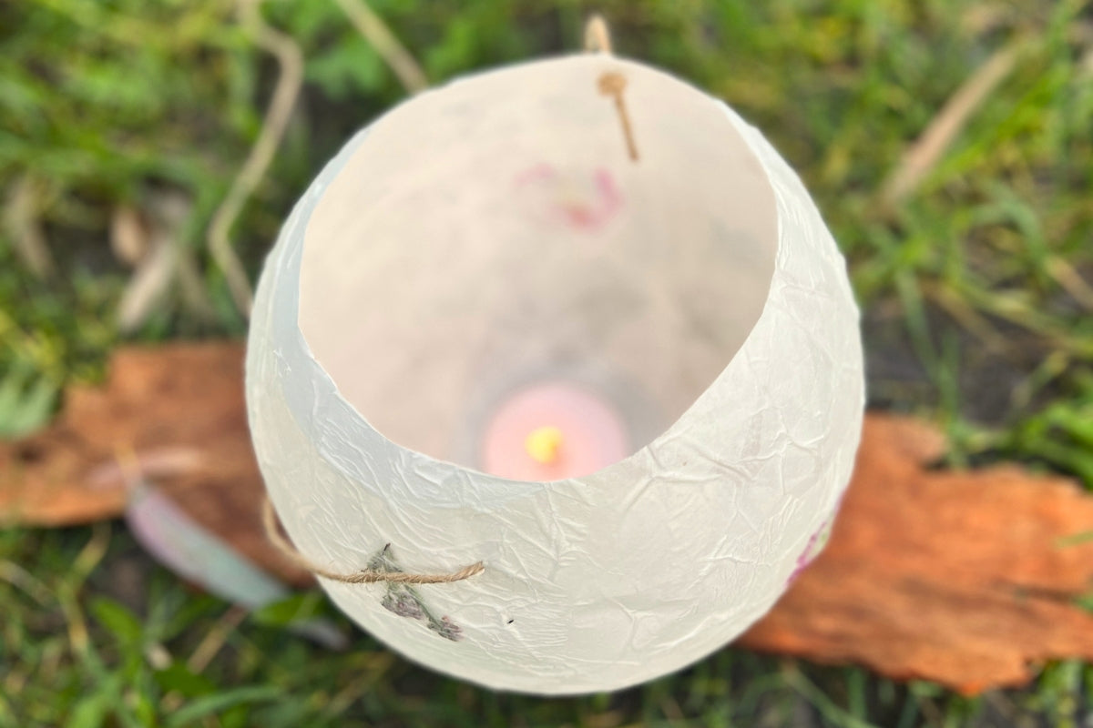 Paper Lanterns & Lights Collection - Online, Australia