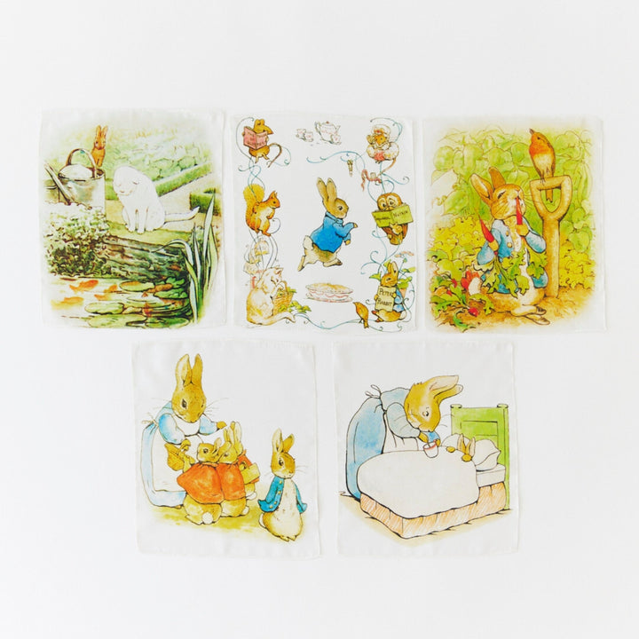 Sarah's Silks Mini Mini Playsilk Mystery Box - Beatrix Potter, Australia