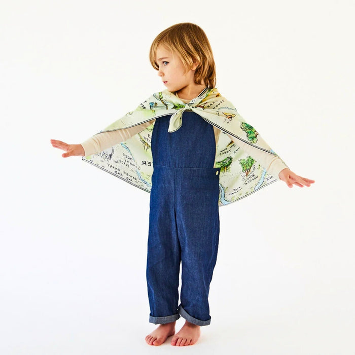 Sarah's Silks Playsilk - Seek & Find Winnie-the-Pooh 100 Acre Woods, Australia